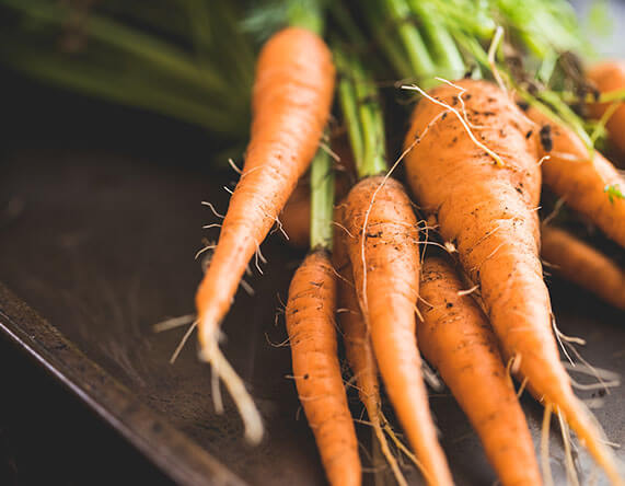 Nutrition and Your Eyes