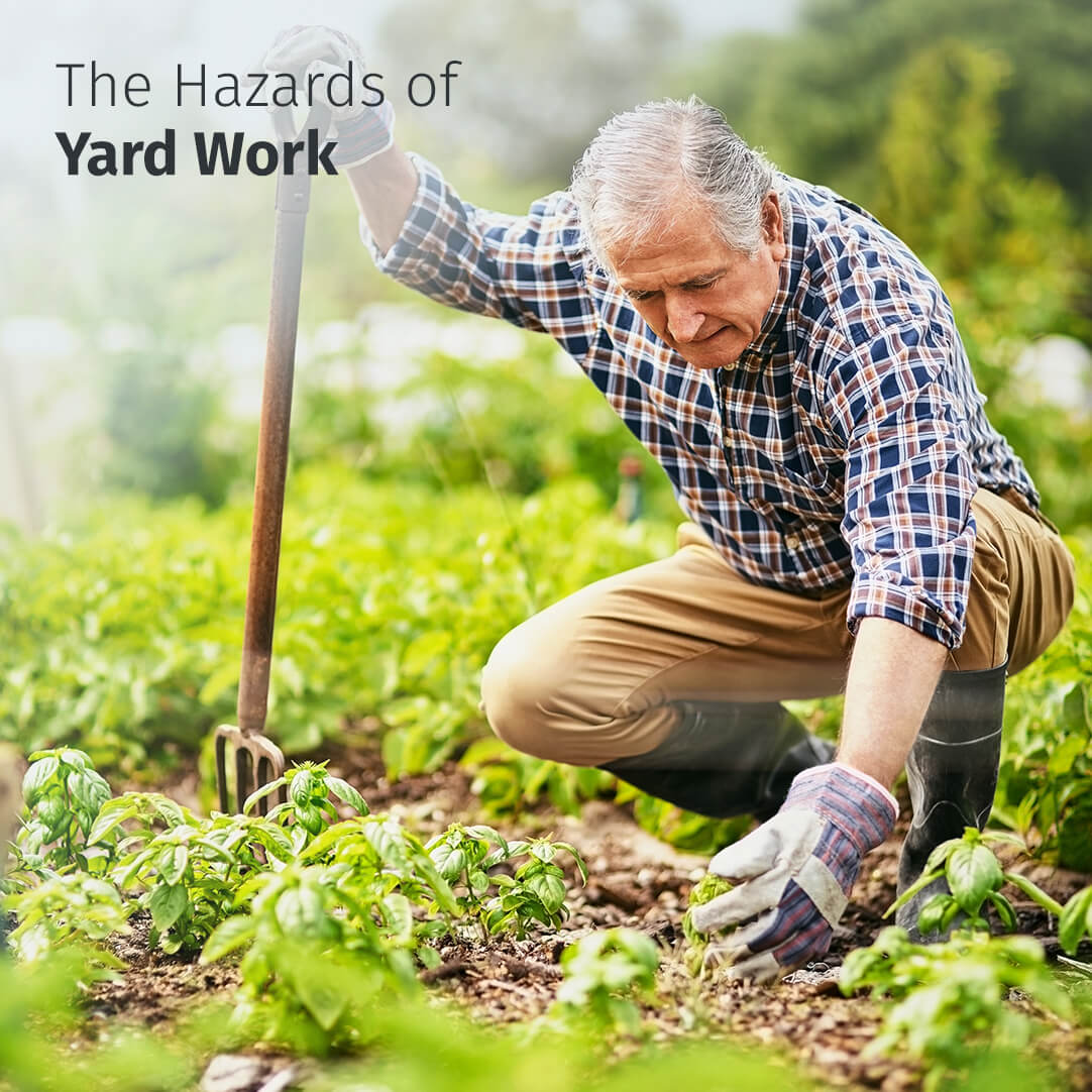 The Eye Hazards of Yard Work